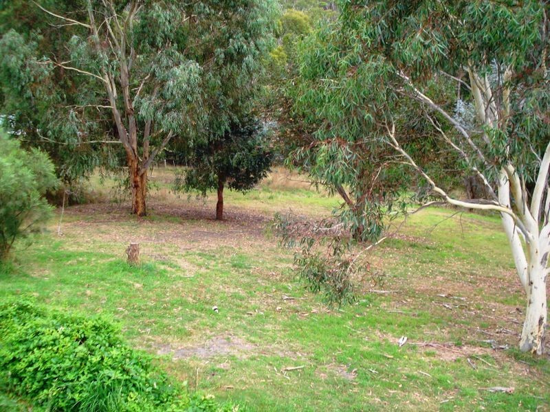 21 Wyre Forest Road, Molesworth TAS 7140