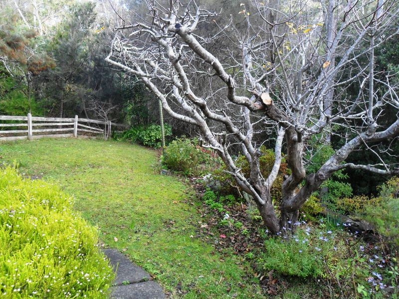 1/8 Woolten Place, Sandy Bay TAS 7005