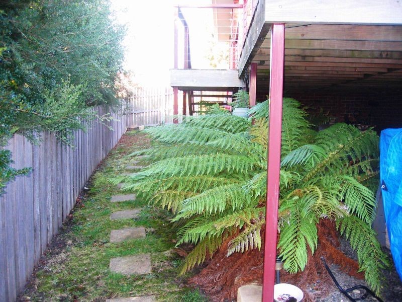 2 Saffron Drive, Kingston TAS 7050