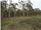 1 Gillies Road, Nubeena TAS 7184