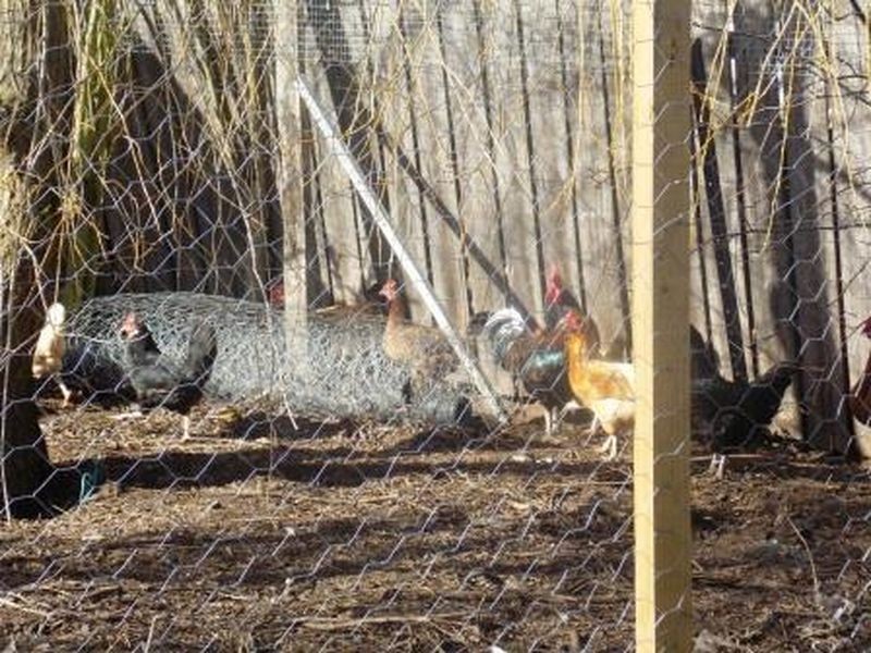 31 High Street, Oatlands TAS 7120