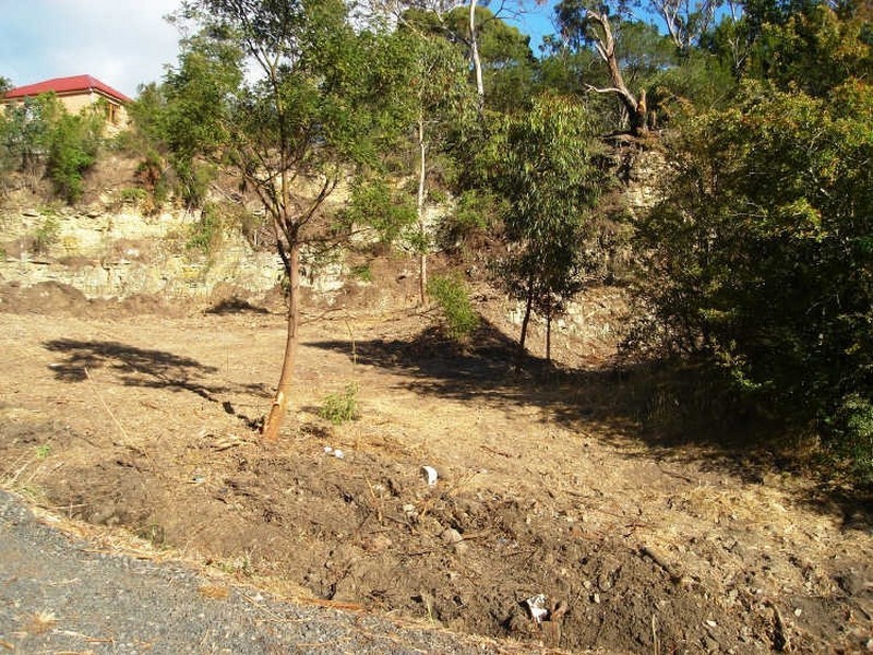 6 Tew Terrace, Sandy Bay TAS 7005