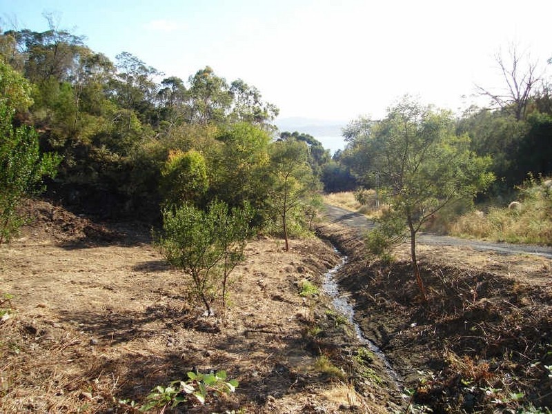 6 Tew Terrace, Sandy Bay TAS 7005