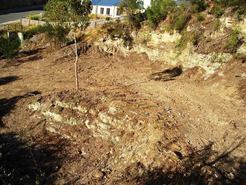 6 Tew Terrace, Sandy Bay TAS 7005