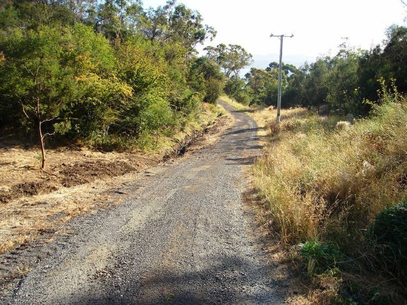 6 Tew Terrace, Sandy Bay TAS 7005