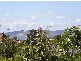 91 Princes Street, Sandy Bay TAS 7005