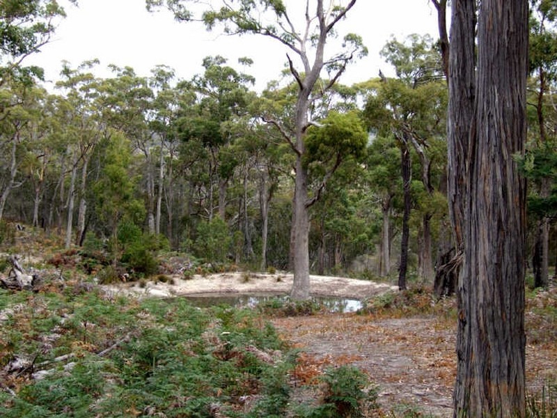 313 Gwandalan Road, Saltwater River TAS 7186