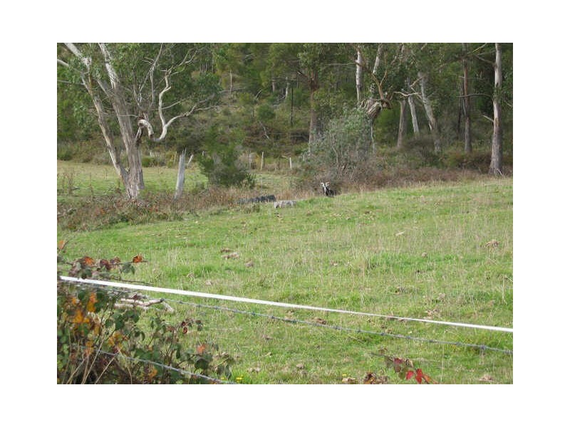 Gospel Hall Road, Gardners Bay TAS 7112