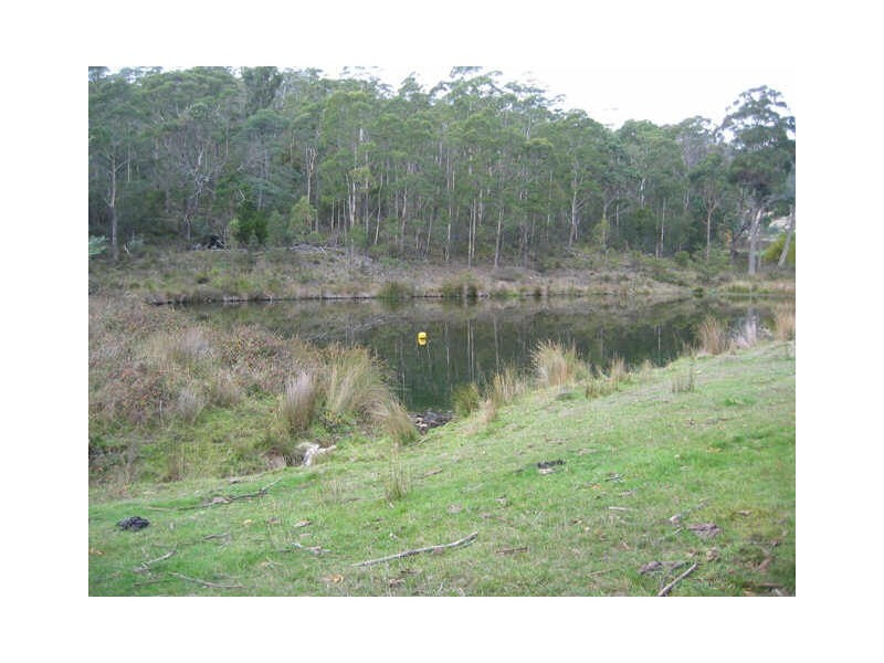 Gospel Hall Road, Gardners Bay TAS 7112
