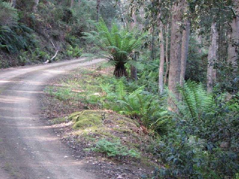 Fyfes Road, Mountain River TAS 7109