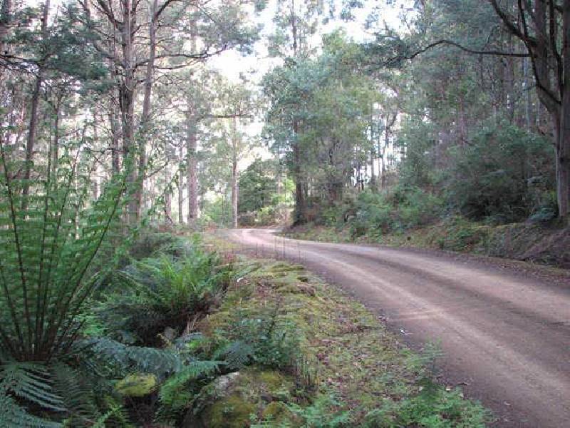 Fyfes Road, Mountain River TAS 7109