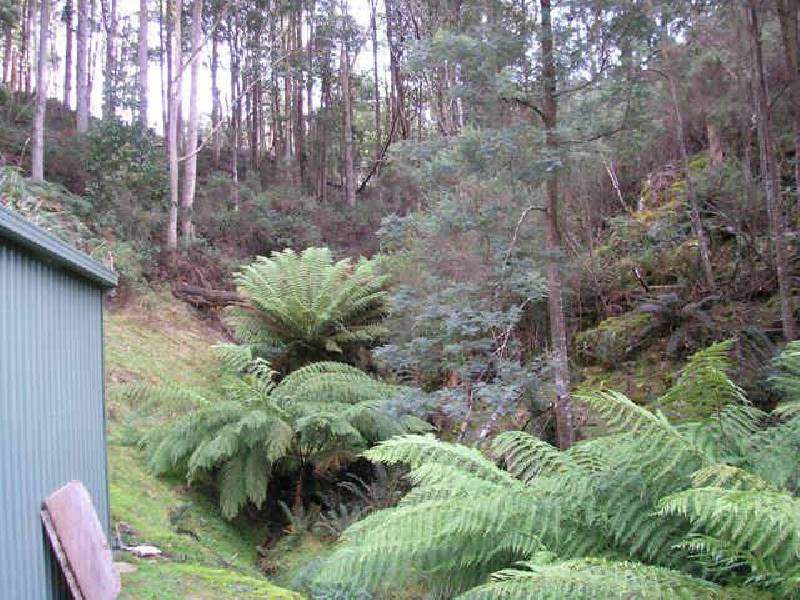 158 Carters Road, Port Huon TAS 7116