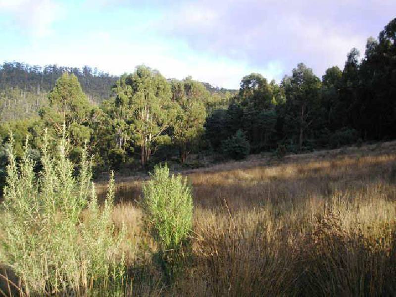 163 Morrisons Road, Huonville TAS 7109