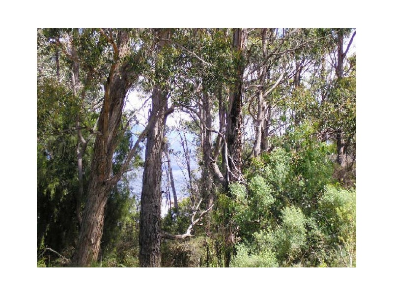 18 & 19 Abels Bay Road, Abels Bay TAS 7112