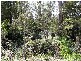 18 & 19 Abels Bay Road, Abels Bay TAS 7112