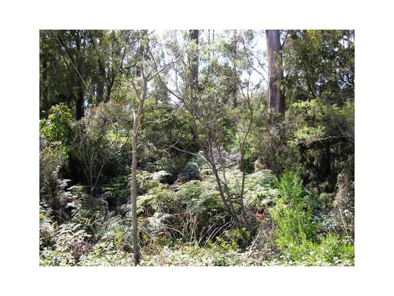 18 & 19 Abels Bay Road, Abels Bay TAS 7112