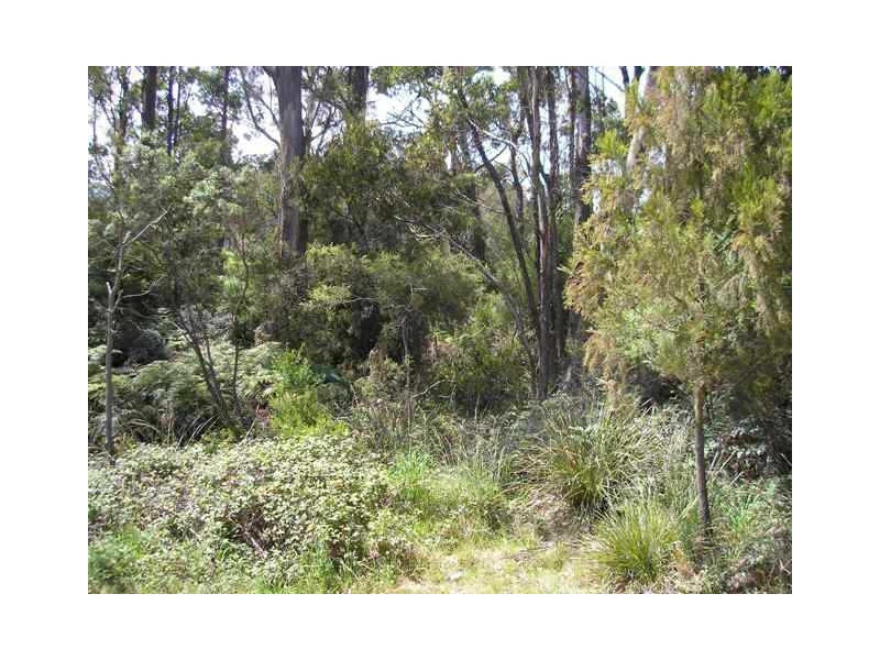 18 & 19 Abels Bay Road, Abels Bay TAS 7112