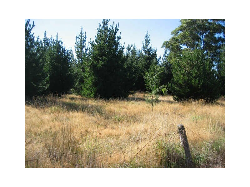 Huon Highway, Glendevie TAS 7109