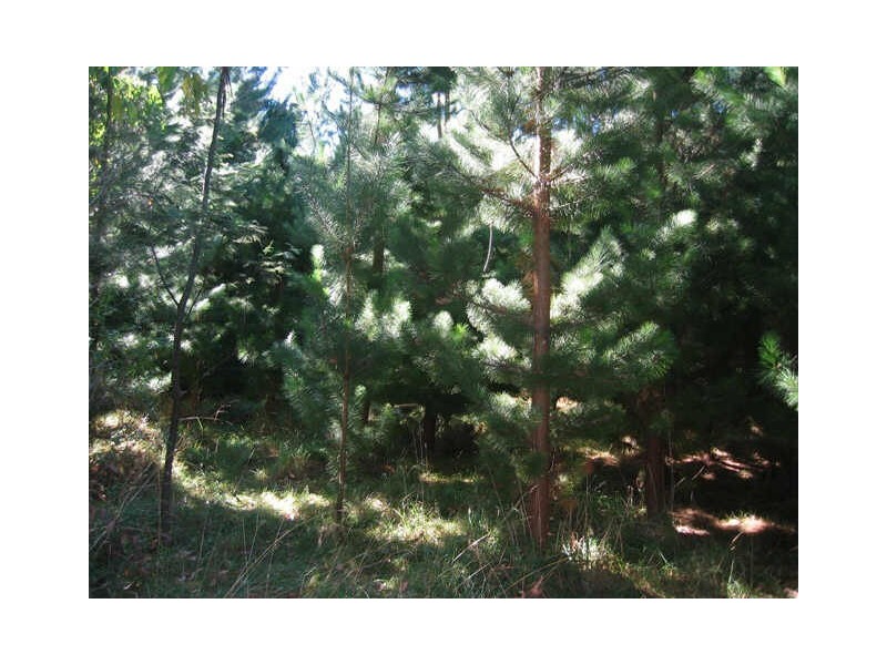 Huon Highway, Glendevie TAS 7109