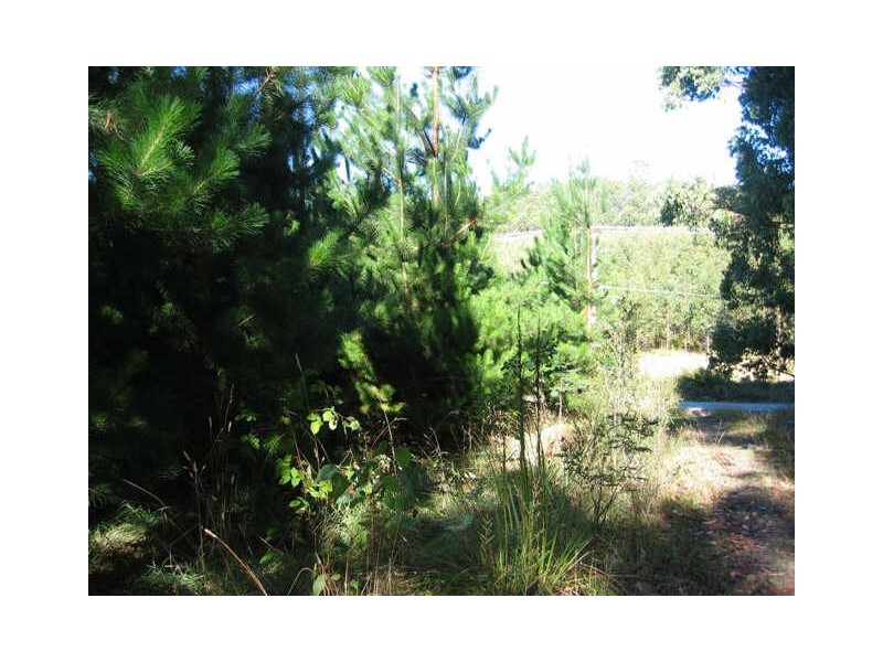 Huon Highway, Glendevie TAS 7109