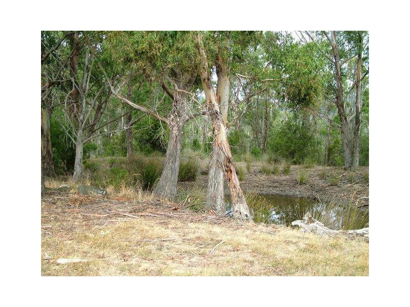 12 Walters Road, Wattle Grove TAS 7109