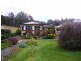 388 Scotts Road, Geeveston TAS 7116
