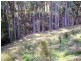 Alans Road, Petcheys Bay TAS 7109