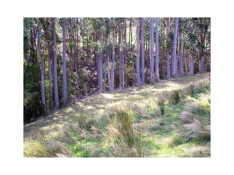 Alans Road, Petcheys Bay TAS 7109