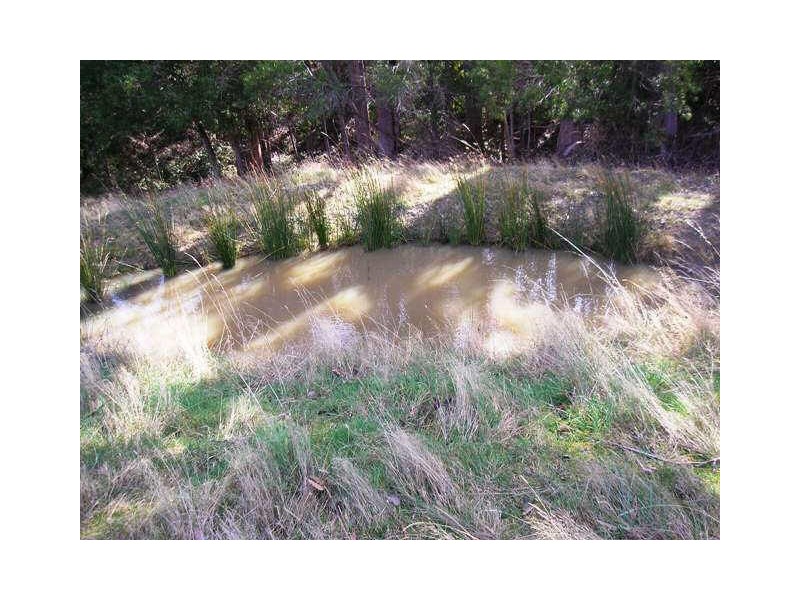 Alans Road, Petcheys Bay TAS 7109