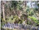 Alans Road, Petcheys Bay TAS 7109