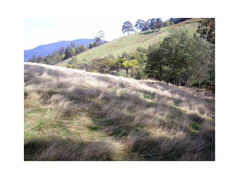 Alans Road, Petcheys Bay TAS 7109