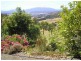 74 Geards Road, Cygnet TAS 7112