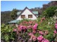 74 Geards Road, Cygnet TAS 7112