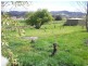 49A Thorpes Rd, Cygnet TAS 7112