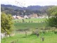 49A Thorpes Rd, Cygnet TAS 7112