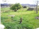 49A Thorpes Rd, Cygnet TAS 7112