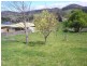 49A Thorpes Rd, Cygnet TAS 7112