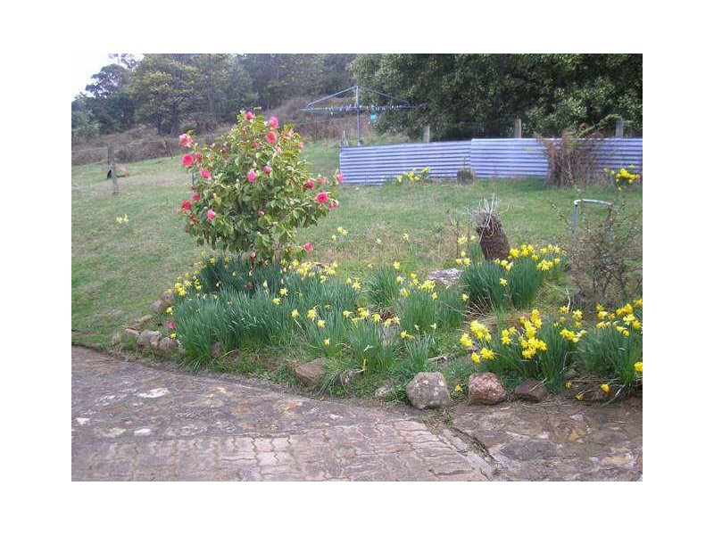 11 Clarks Rd, Lower Longley TAS 7109