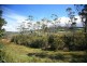 Park Street, Cradoc TAS 7109