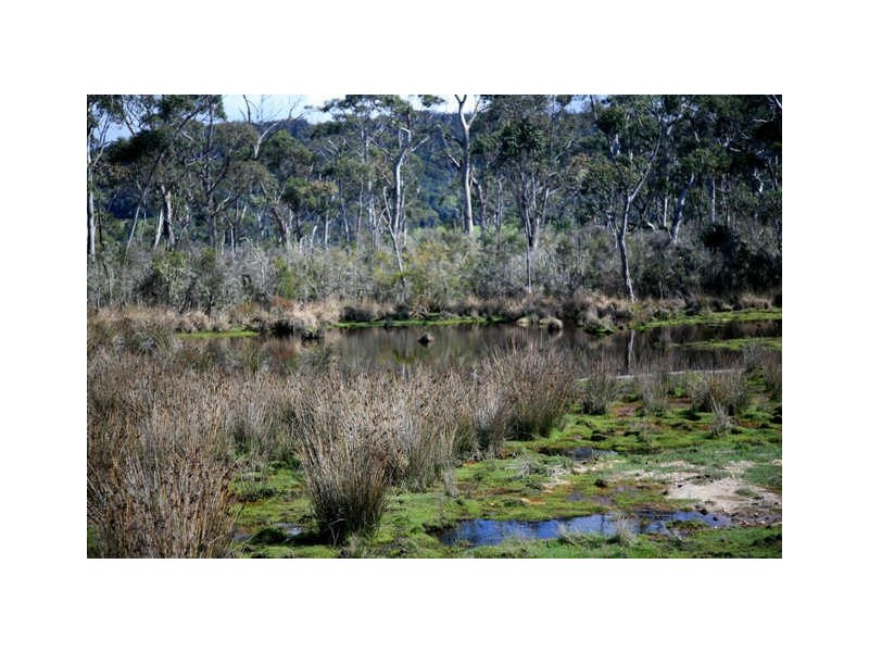 Park Street, Cradoc TAS 7109