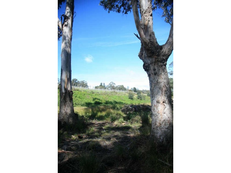 Park Street, Cradoc TAS 7109
