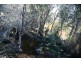 Park Street, Cradoc TAS 7109