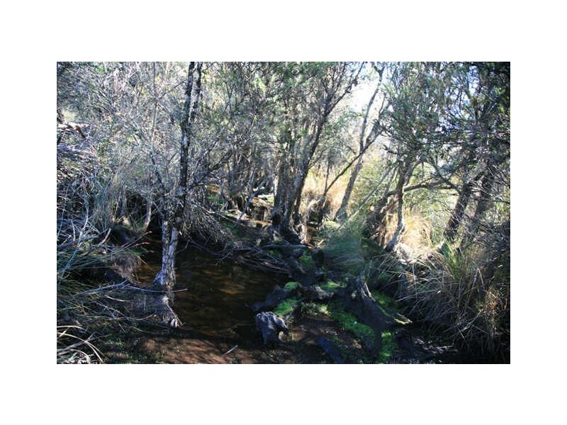 Park Street, Cradoc TAS 7109