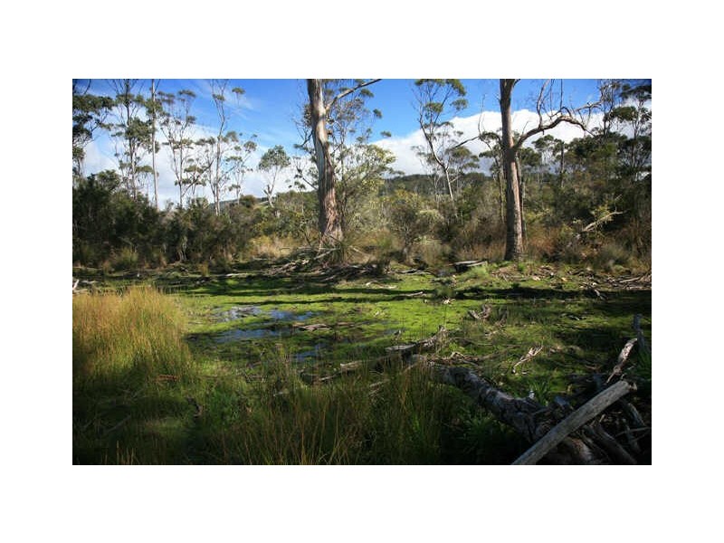 Park Street, Cradoc TAS 7109