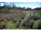 Park Street, Cradoc TAS 7109
