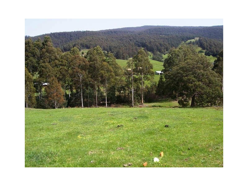 650 Mountain River Road, Mountain River TAS 7109