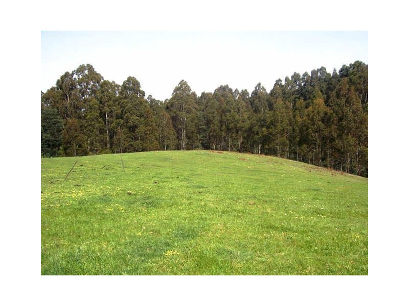 650 Mountain River Road, Mountain River TAS 7109