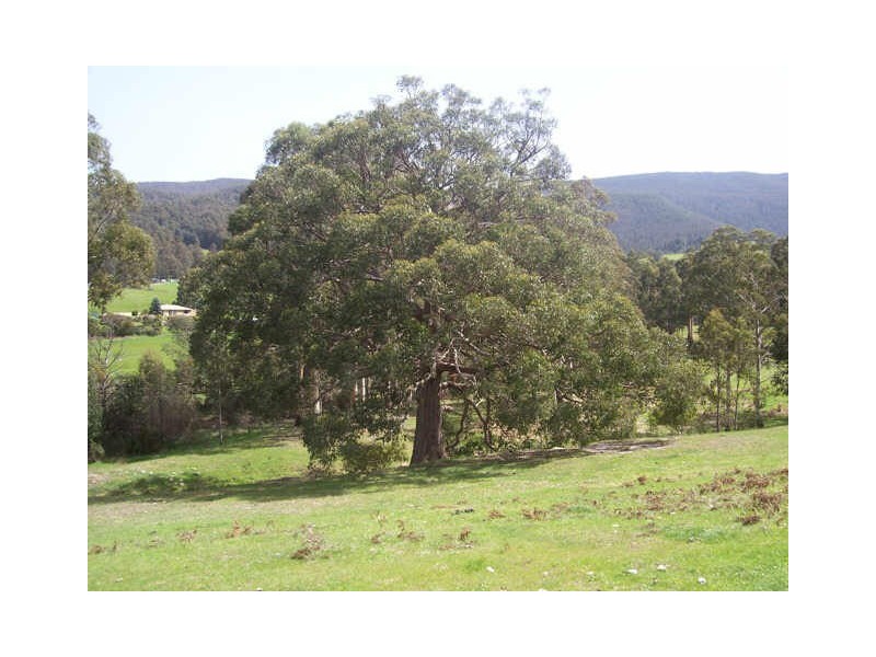 650 Mountain River Road, Mountain River TAS 7109