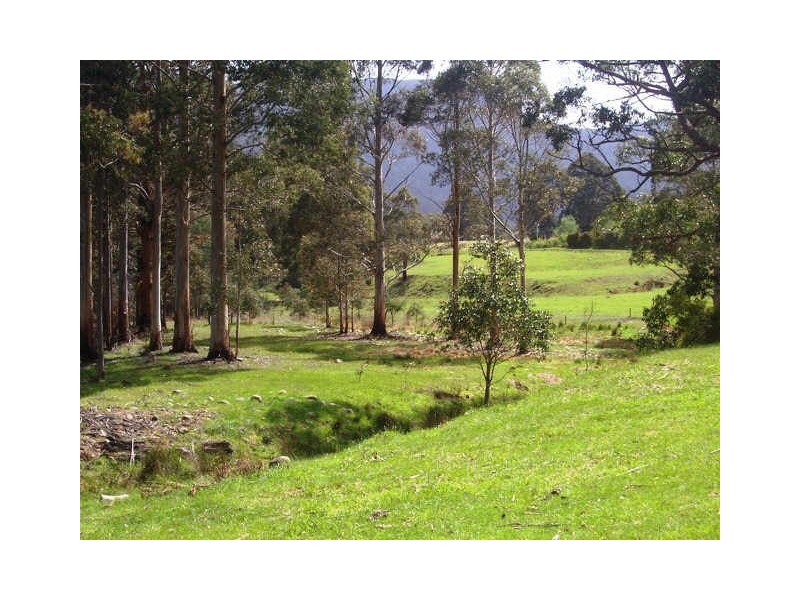 650 Mountain River Road, Mountain River TAS 7109