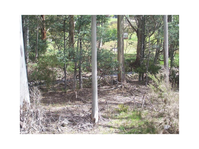 650 Mountain River Road, Mountain River TAS 7109